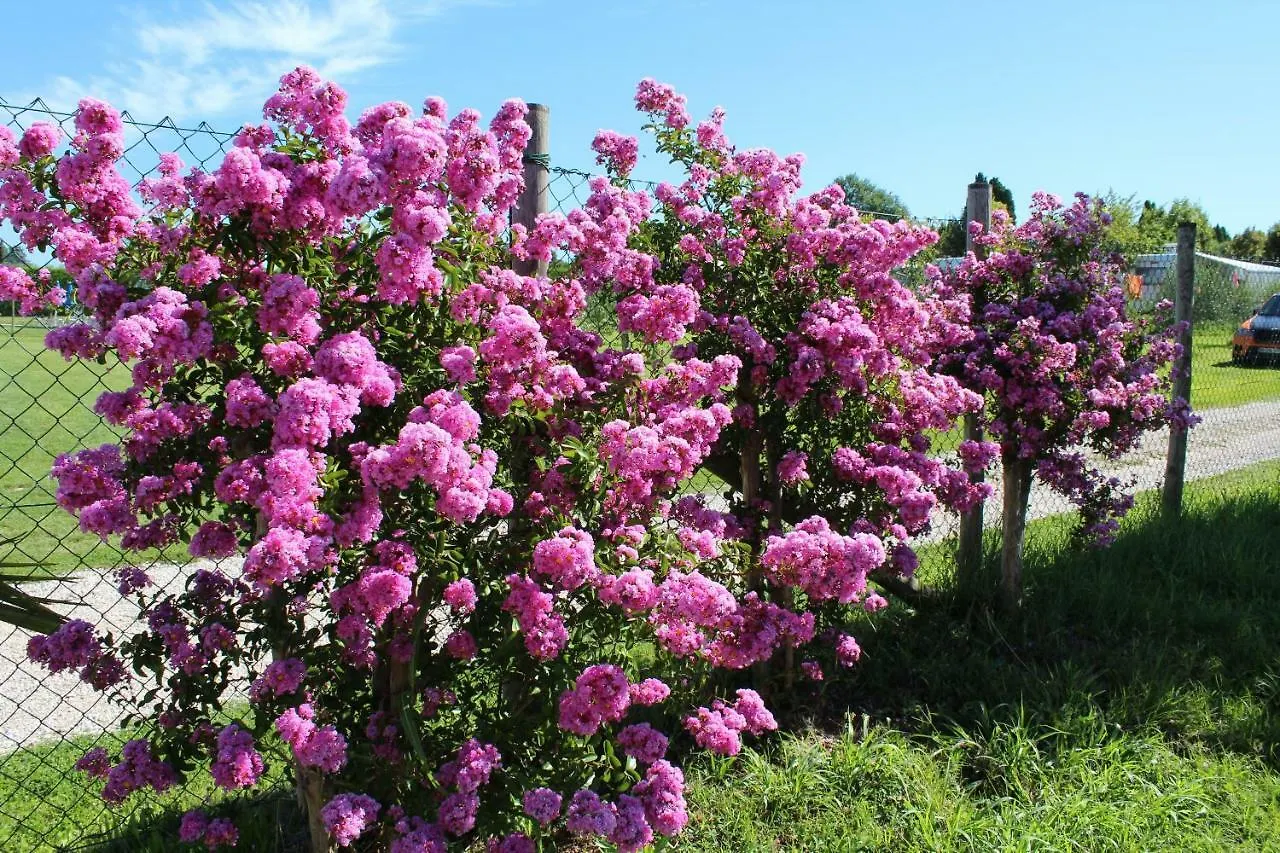 Agriturismo Al-Bor Lazise 0*,  Italien