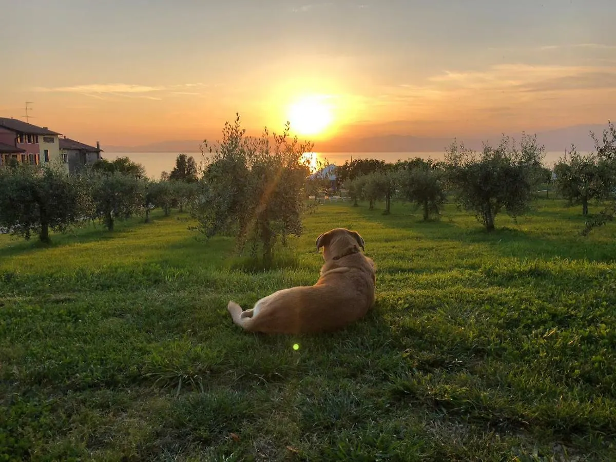 Lantgård Agriturismo Al-Bor Lazise