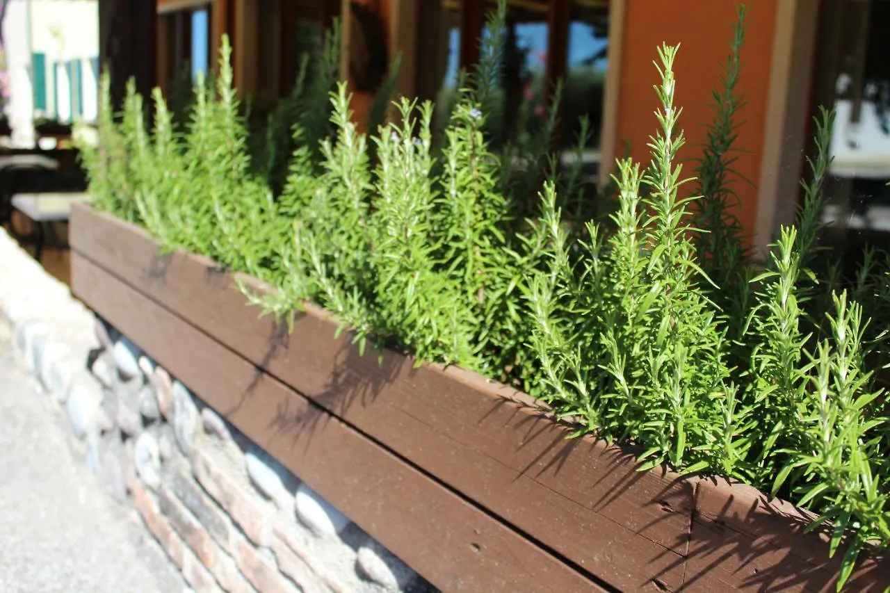 Bauernhof Agriturismo Al-Bor Lazise Italien
